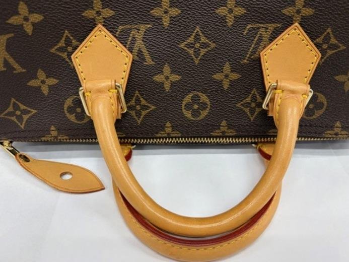 Speedy 30 Monogram Canvas Handbag