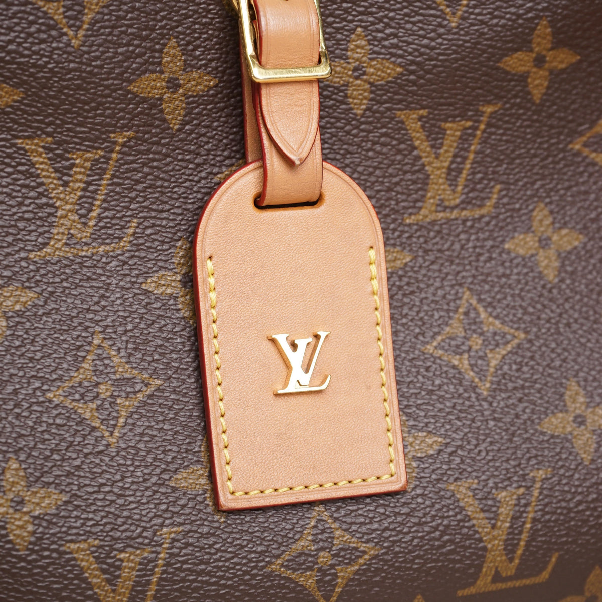 Monogram Odéon PM Crossbody Bag