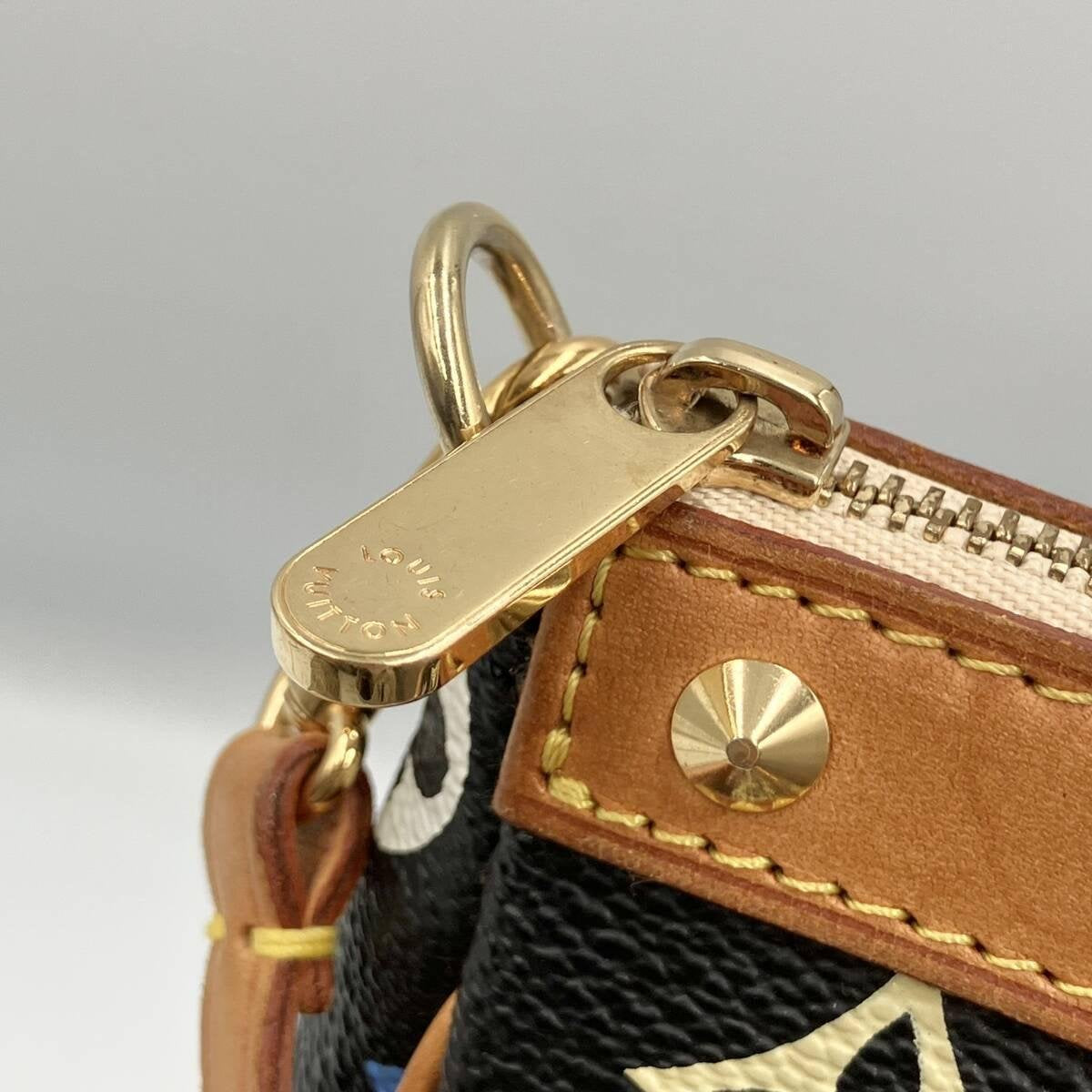 x Takashi Murakami Multicolor Pochette Accessoires in Black Monogram Canvas