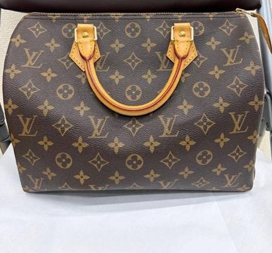 Speedy 30 Monogram Canvas Handbag