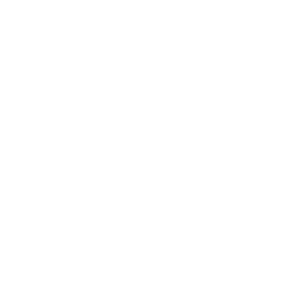 vluxuryshop